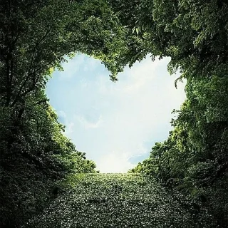 My heart for you 💚 sticker 3