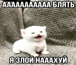 🌟 emoji жиза Telegram sticker 23 of 29