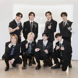 🌟 emoji skz🪻 Telegram sticker 23 of 24