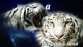Sticker from На все случаи в жизни||ЧАК