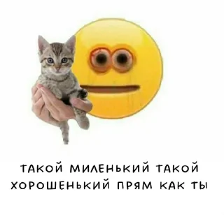 Sticker from >>>>>>