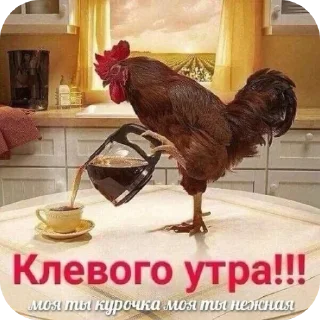 🐦 emoji для важных переговоров Telegram sticker 19 of 120