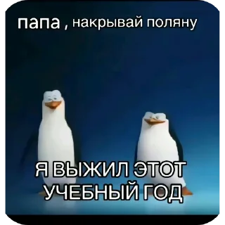 🖼 emoji Моя галерея за 2024 год Telegram sticker 16 of 19