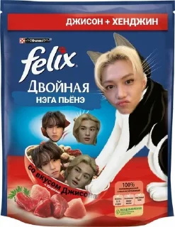 🐱 emoji Стрэй кидс Telegram sticker 3 of 7