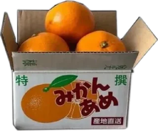 🍊 emoji оранге эстетик пнг Telegram sticker 19 of 50