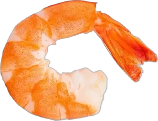 🍤 emoji оранге эстетик пнг Telegram sticker 22 of 50