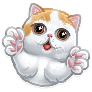 Sticker from #Stories]
