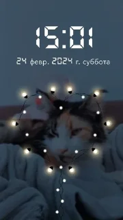 🌟 emoji Я люблю свою кошку, я ее съем Telegram sticker 7 of 39