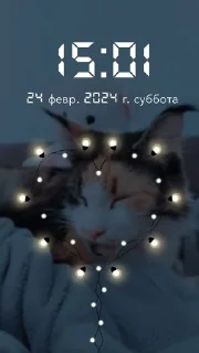 🌟 emoji Я люблю свою кошку, я ее съем Telegram sticker 8 of 39
