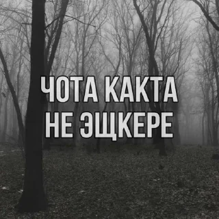 Sticker from эщкере