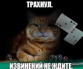 Sticker from эщкере