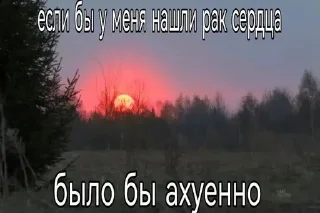 🌟 emoji Щп от Фуфырки @higxdh Telegram sticker 17 of 112