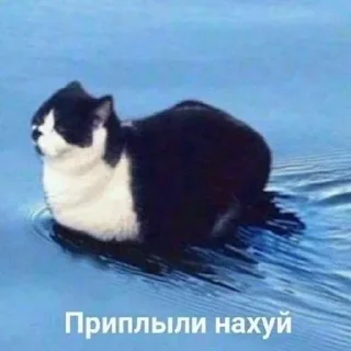 Sticker from хуйня для разговоров важных