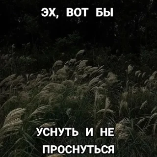 🌟 emoji Щп от Фуфырки @higxdh Telegram sticker 23 of 112