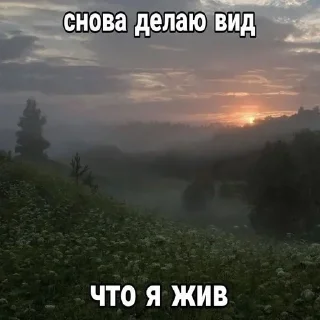 🌟 emoji Щп от Фуфырки @higxdh Telegram sticker 14 of 112