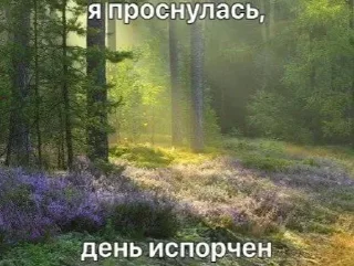 🌟 emoji Щп от Фуфырки @higxdh Telegram sticker 15 of 112