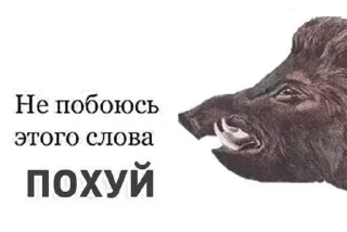 Sticker from Лютый пон