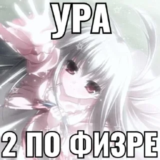 Sticker from няшки тащат