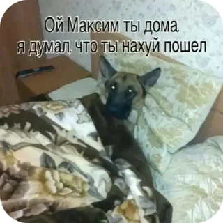 Sticker from Гача лайф