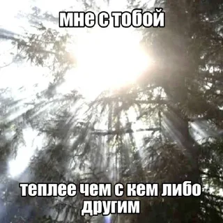🌟 emoji Грустные пикчи../ Telegram sticker 15 of 64