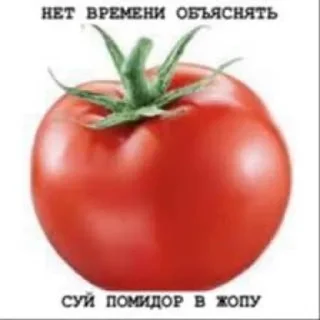 Sticker from ебал вентилятор