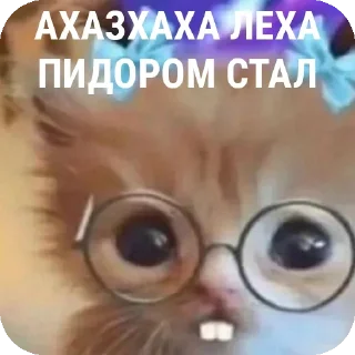 🤳 emoji МИЛЫЕ КОТИКИ Telegram sticker 16 of 20