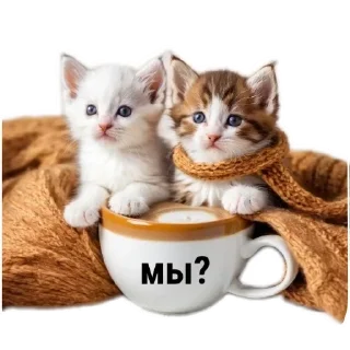 🔥 emoji МИЛЫЕ КОТИКИ Telegram sticker 3 of 20