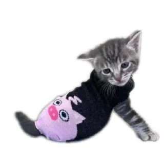 🌟 emoji МИЛЫЕ КОТИКИ Telegram sticker 1 of 20