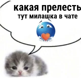 🐱 emoji МИЛЫЕ КОТИКИ Telegram sticker 10 of 20