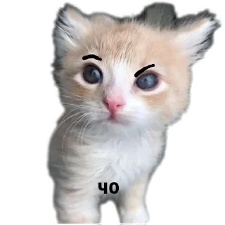 ❤ emoji МИЛЫЕ КОТИКИ Telegram sticker 4 of 20