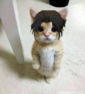 🐈 emoji мориарти @stickerskva Telegram sticker 12 of 93