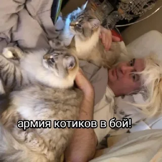 🌟 emoji •<шутовские затеи>• Telegram sticker 15 of 30
