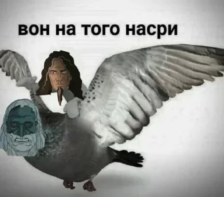 Sticker from 🔪Ммагнусы мои отцы🔨