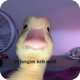 🐦 emoji Yedirdim by @stikerimbot Telegram sticker 15 of 28