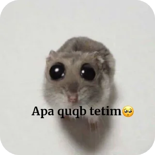 🐱 emoji Yedirdim by @stikerimbot Telegram sticker 23 of 28