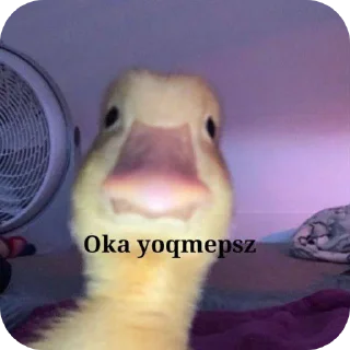 🐦 emoji Yedirdim by @stikerimbot Telegram sticker 7 of 28