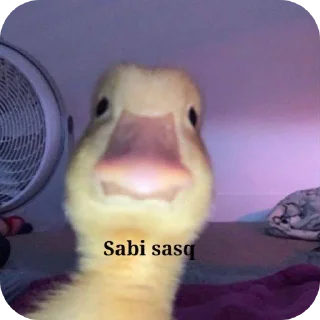 🐦 emoji Yedirdim by @stikerimbot Telegram sticker 3 of 28