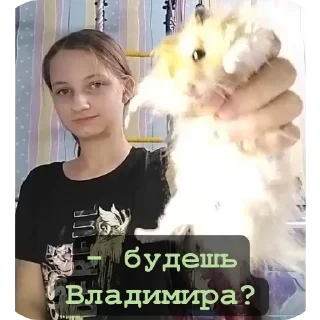 Sticker from видеозвонки смысл жизни