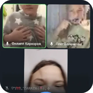 👍 emoji видеозвонки смысл жизни Telegram sticker 11 of 15