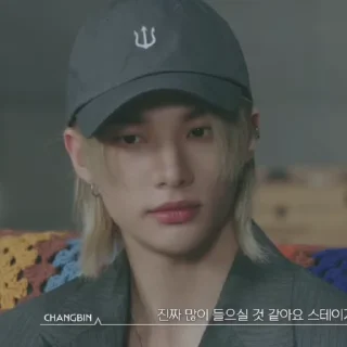🦙 emoji #hyunjin @kioqet Telegram sticker 6 of 30