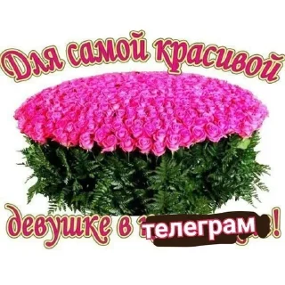 Sticker from kinzadza
