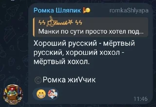 Sticker from Shlyapa стикер