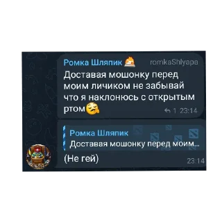 Sticker from Shlyapa стикер