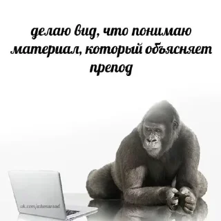 Sticker from для важных переговоров