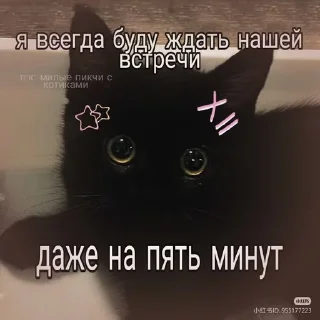 Sticker from Mяуу