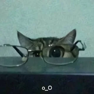 🌟 emoji рандом Telegram sticker 11 of 49