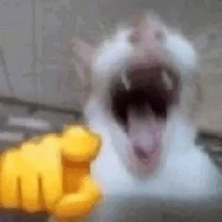 🌟 emoji рандом Telegram sticker 7 of 49