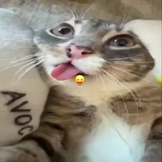 🌟 emoji рандом Telegram sticker 19 of 49