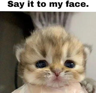 🌟 emoji рандом Telegram sticker 8 of 49