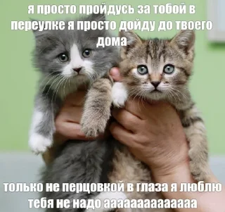 Sticker from падение упал